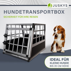 Hondenbox auto