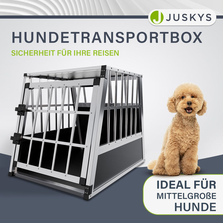 Hondenbox auto