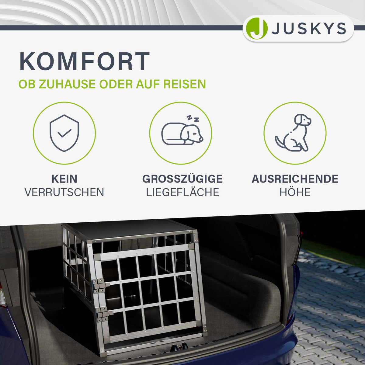 Hondenbox auto