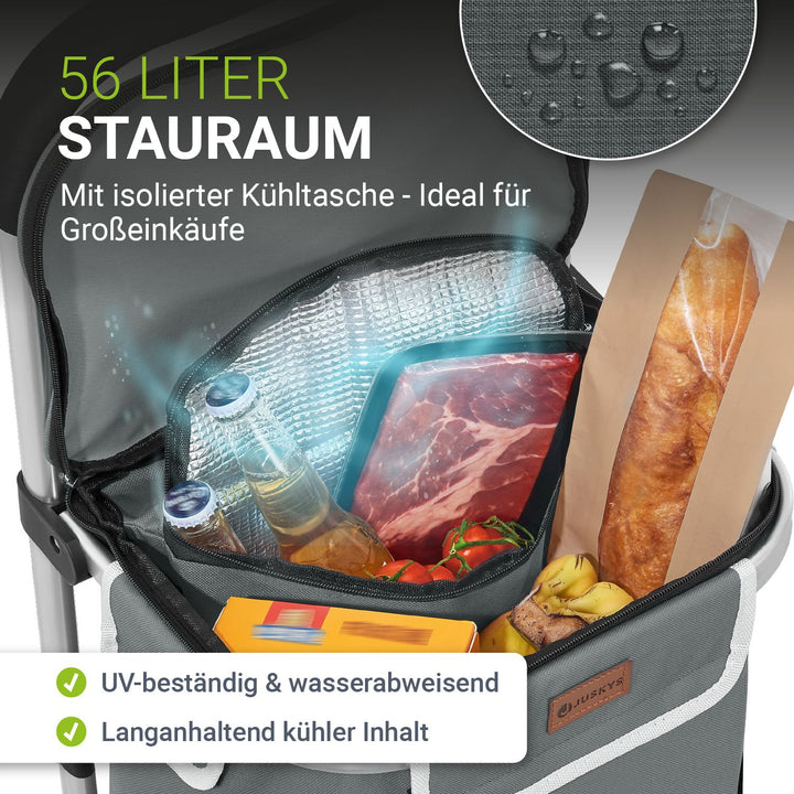 Trapklimmer met boodschappentrolley