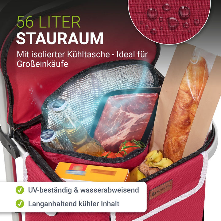 Trapklimmer met boodschappentrolley
