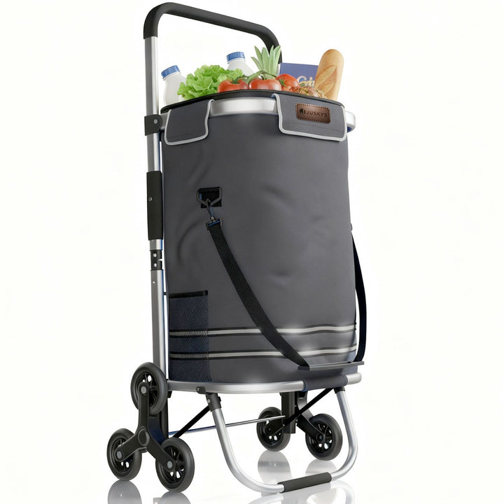 Trapklimmer met boodschappentrolley