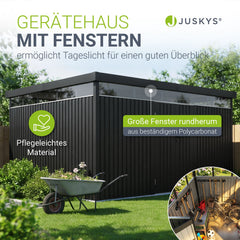 Metalen gereedschapsschuur Luzern